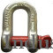 Screw Pin Type Dee Shackle