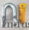Screw Pin Type Dee Shackle