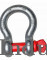 Bow Shackle Screw Pin Anchor Shackle Heavy Duty Alloy Steel | Used Towing & Lifting(PACK OF 5PCS)
