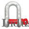 Screw Pin Type Dee Shackle