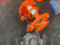 Gear Trolley ( 1 Ton, 2 Ton, 3 Ton, 5 Ton, 10 Ton )